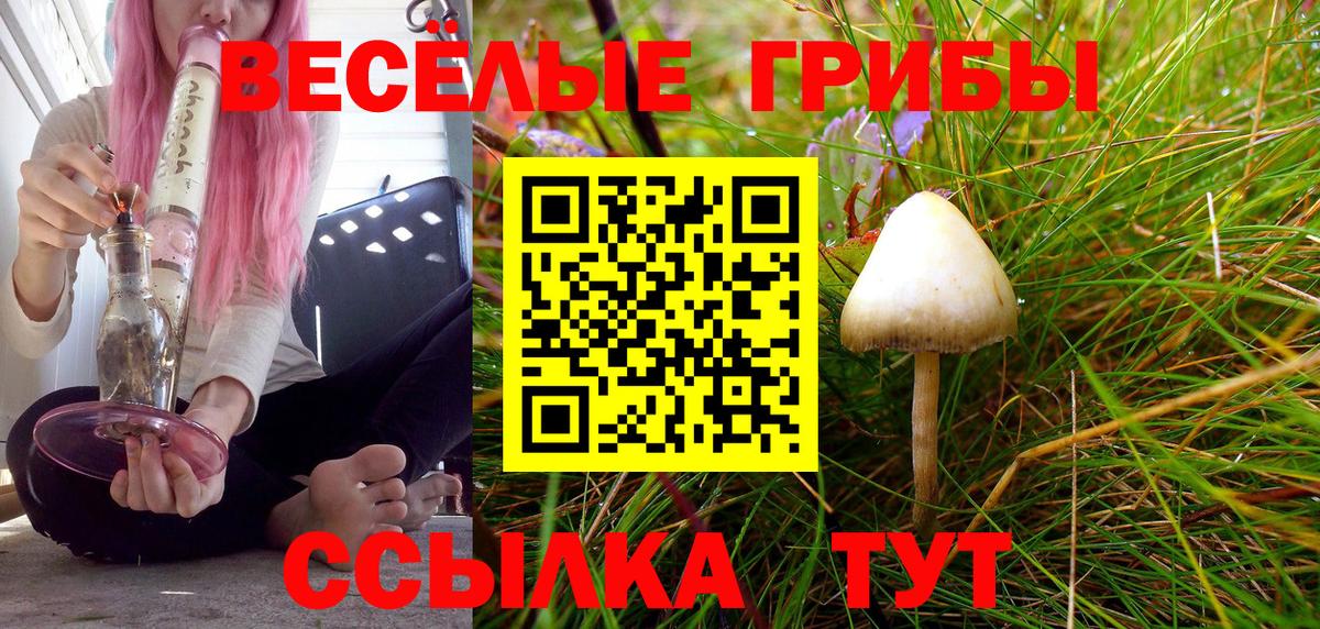 Тихвин  Псилоцибиновые грибы Psilocybe  Галлюциногенные грибы Psilocybine cubensis  Вход с VPN 